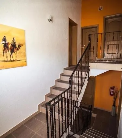 In Zadar With Terrace, Air Conditioning, Wifi, Washing Machine 4141-1 *